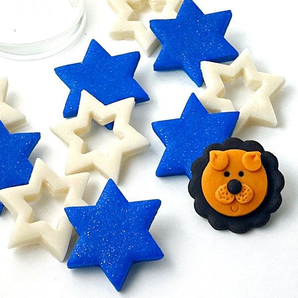 Rising Lion star of David Collection