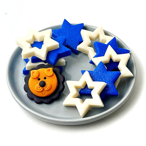 Rising Lion star of David Collection