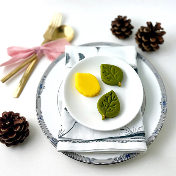 sukkot etrog and leaf collection