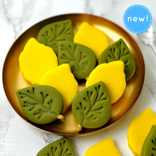 sukkot etrog and leaf collection