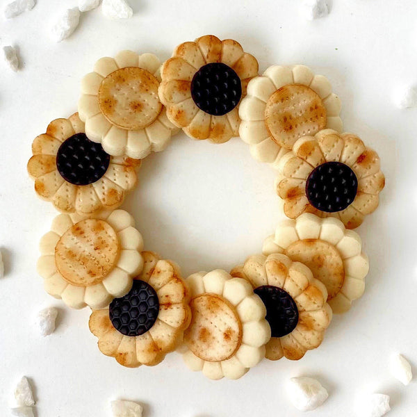 matzah daisies & sunflowers