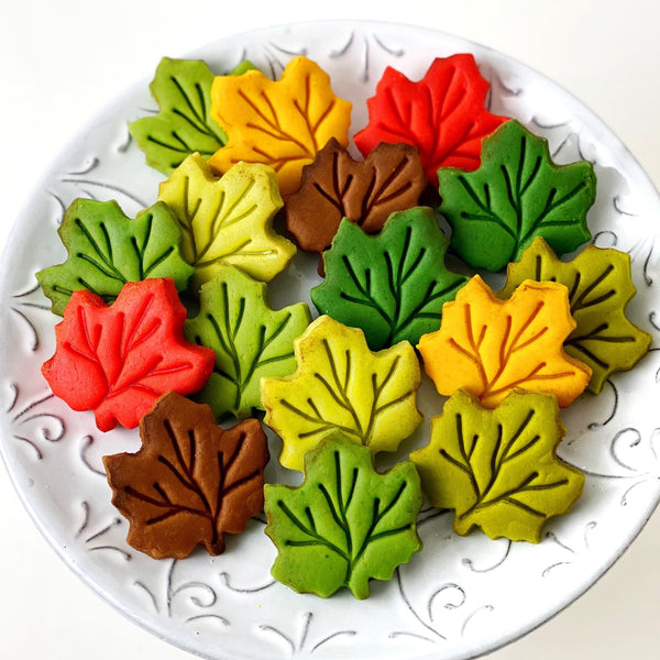 colorful autumn leaves