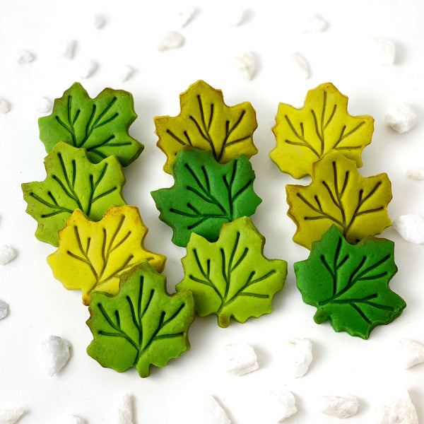 fall leaves assorted colors thanksgiving gift shades of green