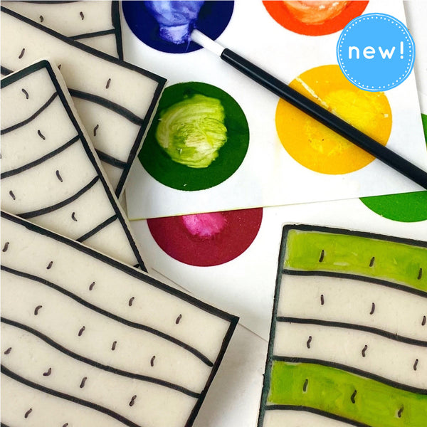 Passover paint your own matzah new