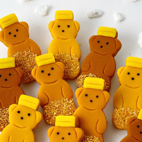 rosh hashanah honey gift teddy bears closeup
