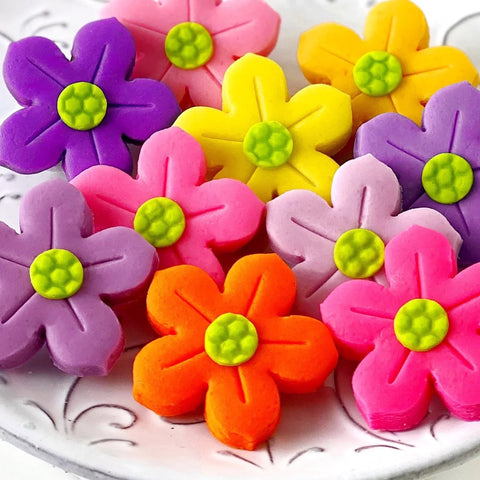 spring is here