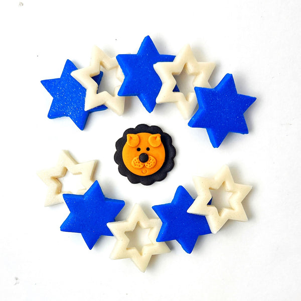 Rising Lion star of David Collection