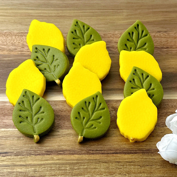 sukkot etrog and leaf collection