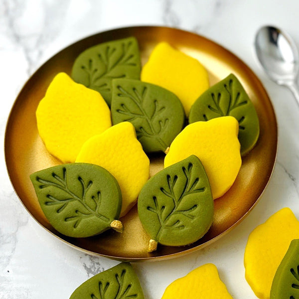 sukkot etrog and leaf collection