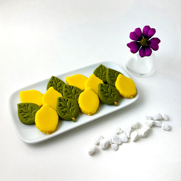 sukkot etrog and leaf collection