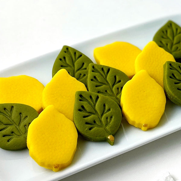 sukkot etrog and leaf collection