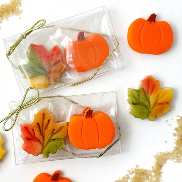 Thanksgiving Pumpkin & Maple Leaf Duet