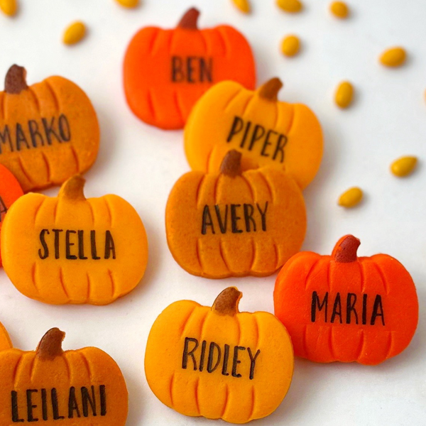 personalized pumpkins closeup