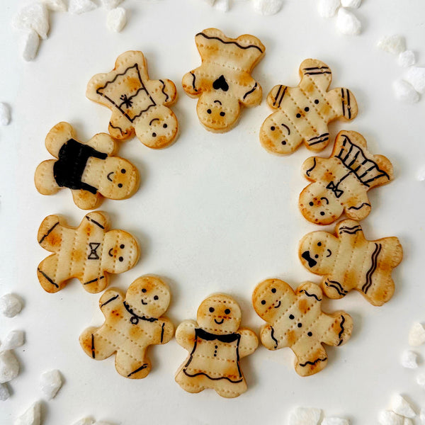 Passover matzah happy people gingerbread in a circle