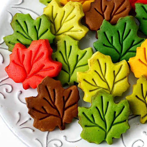 fall leaves assorted colors thanksgiving gift closeup